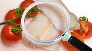 A magnifying glass resting on uncooked two cod loins, flanked by vine tomatoes.